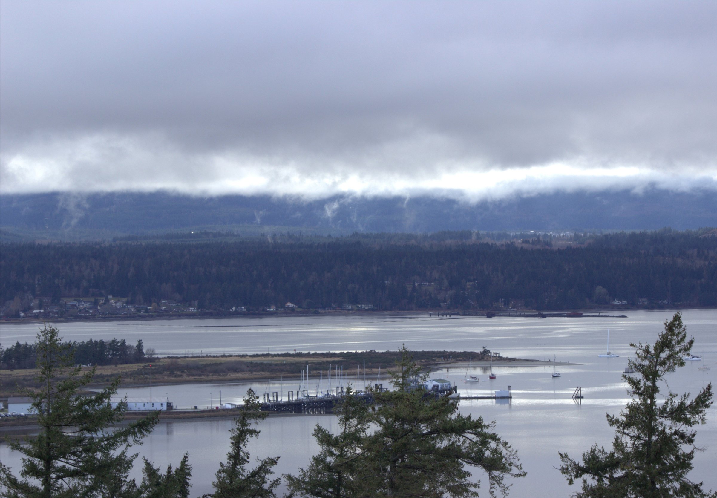Goose Spit from above on an overcast day: low cloud, grey water, the spit and dark evergreens in the foreground